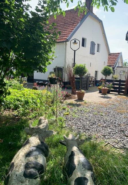 Atelier Onder De Notenboom Appeltern Exterior photo